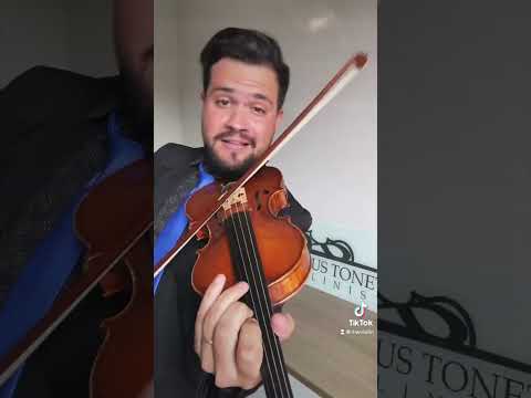 Pavão Bonito no Violino! Professor Mateus Tonette