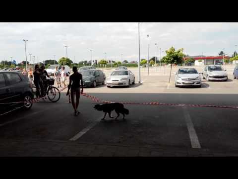 ZOO CITY KOPRIVNICA - nastup Lane i Vicky