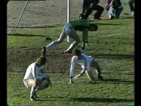 Viking fk cupmestere