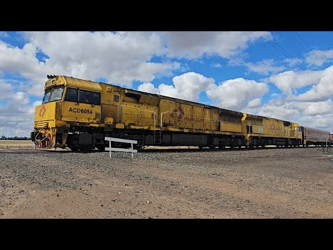 6MP1 Aurizon down Superfreighter (ACD ACD G CC 78P), Melbourne to Perth, 1650, 29/11/25, Murtoa VIC 