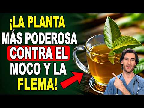 The #1 Plant to ELIMINATE all PHLEGM and MUCUS from your THROAT!