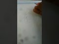 Brazil Song La La La La