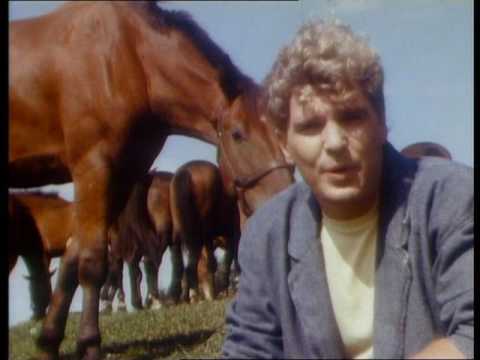 Frank Schöbel - Wir fliegen mit dem Wind