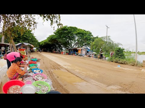 Cambodia Best Street Food Compilation, Amazing Food Tour From Countryside Market to Night Market