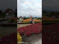Love Content Like This Hit That Subscribe Button On Ilocano Math TV Today Taiwan Flowerfarm