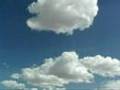 TESTAMENT - FACE IN THE SKY!