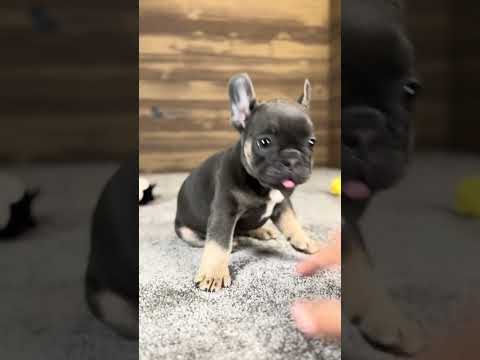 Video 3
