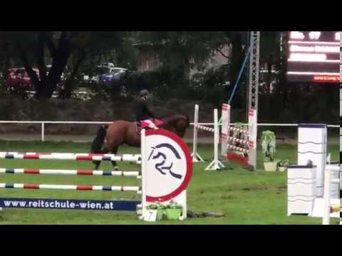 Stakkino v. Stalypso  - Wiener Derby in der Freudenau 2018 - Stechen