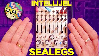 Video thumbnail for Intellijel SEALEGS Eurorack Delay Module Demo by mylarmelodies