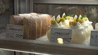 preview picture of video '愛知県豊橋市のケーキ屋さん【パティスリーエクラン】4K撮影'