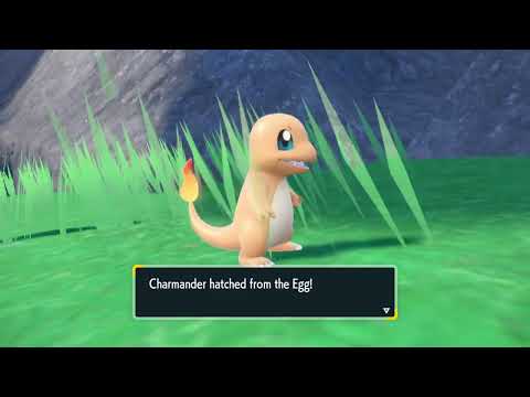 How to get Charmander and Charizard in Pokémon Scarlet and Violet