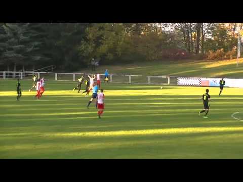 FSV Zwickau II - BSC Rapid Chemnitz