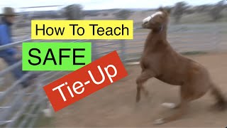 How To Safely Teach A Horse To Tie