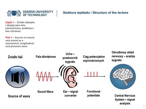 Biofizyka zmysłu słuchu - 1A / Biophysics of hearing - 1A.