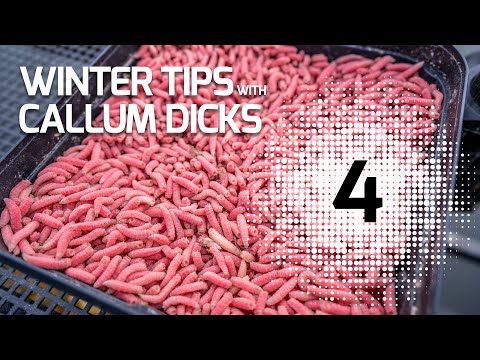 Winter Fishing Tips Number Four: Maver Match Fishing TV: