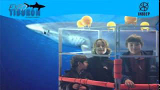 DIA 2 Expo Tiburon125