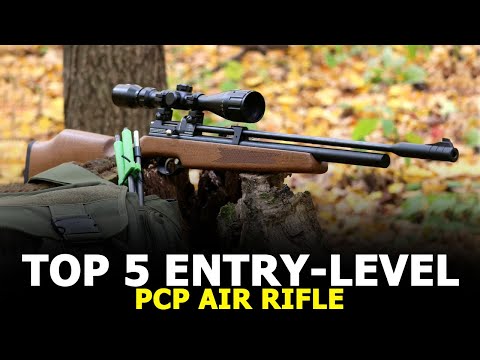 Top 5 Entry-Level PCP Air Rifles Under $400 - Best Air Rifles for Beginners