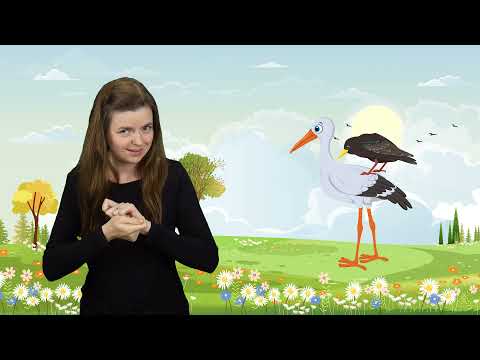 Migane Wiersze 2.0 - BOCIAN I SZPAK czyta Piotr Fronczewski