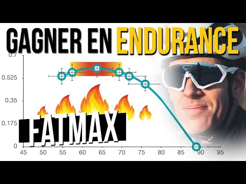 Optimizing endurance training: zone 2 and fatmax