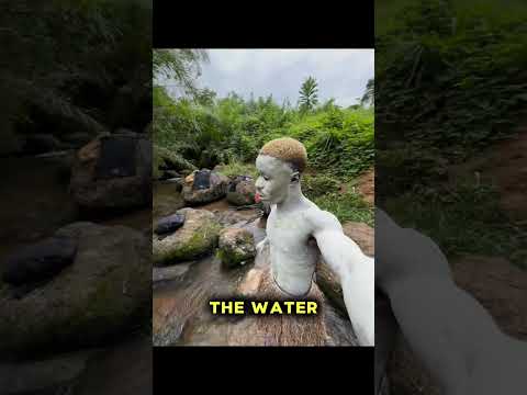 They Knew The Whole Time😳