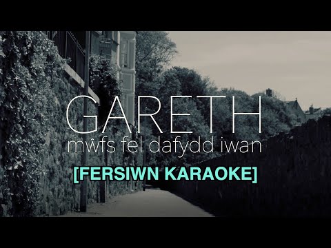 Mwfs Fel Dafydd Iwan (Fersiwn Karaoke)