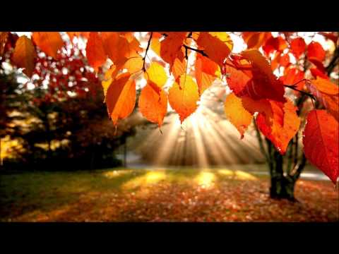 In Remembrance (from Requiem)