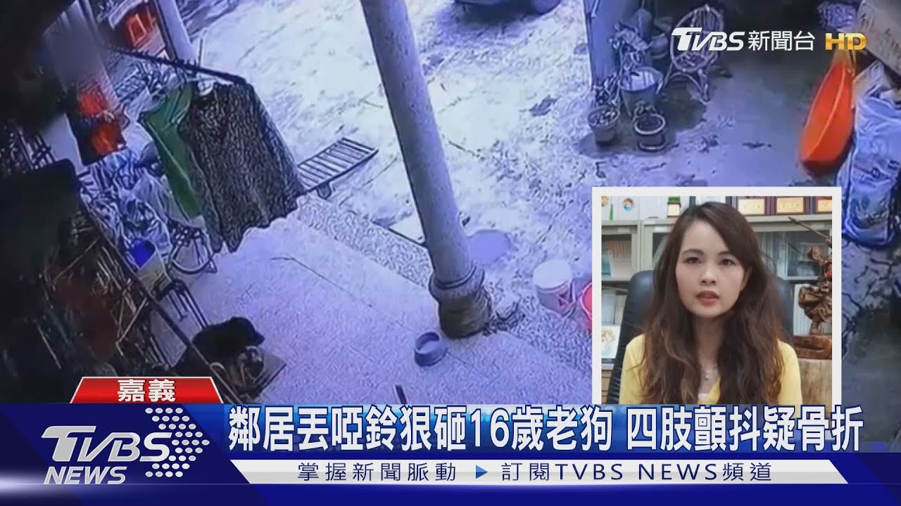 雞排被叼走持啞鈴打死狗 開棺驗屍遭法辦