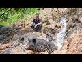 Retired teacher build a farm on the rocky plateau: Catch rock crabs after storm, bath pool for pigs