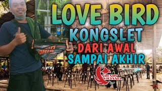 Download lagu LOVE BIRD KONGSLET NYARIS TAK BERJEDA / ronggolawe pangkalan bun mp3 Download lagu LOVE BIRD KONGSLET NYARIS TAK BERJEDA / ronggolawe pangkalan bun mp3