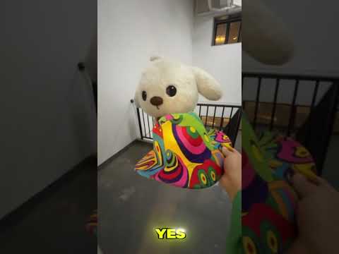 🐶🧢 Verlier deinen Hut nicht wieder, Welpe! #PetFun #01