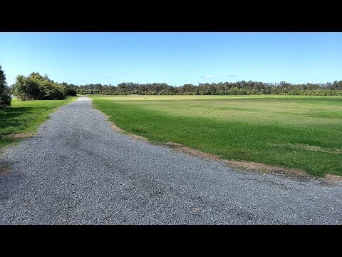 Dogs at Robina Stadium Park