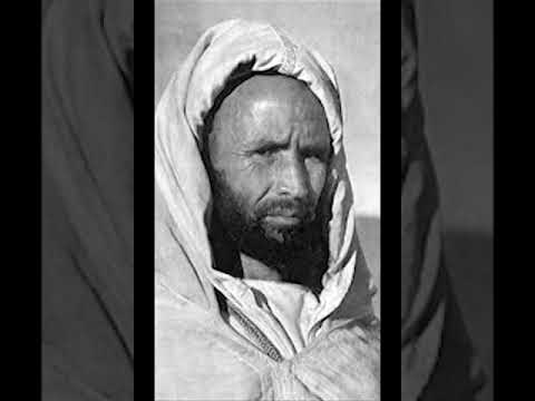 Meteor Airlines - WARRU ⵡⴰⵔⵔⵓ (Vertical Video)