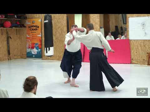 Aikido: Stephane Goffin Budapest 2024