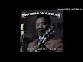 Muddy Waters - You Cant Make the Grade - BluesFolkRockHouse Muddy Waters - You Cant Make the Grade