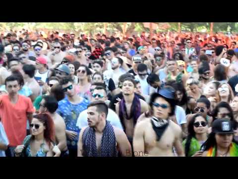 Perfect Specimen Project @ MUV Portal Quântico 2017.1