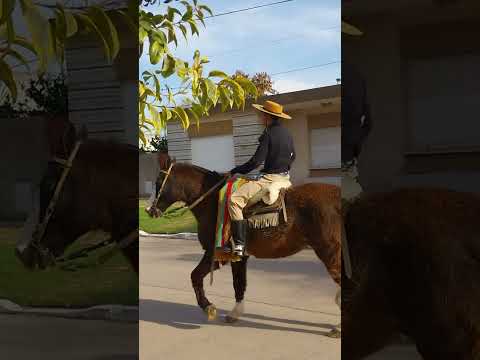 Fiesta tradicional El Cencerro 47 aniversario Wheelwright Santa Fe 