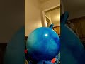 Funny Troll With Bouncy Ball