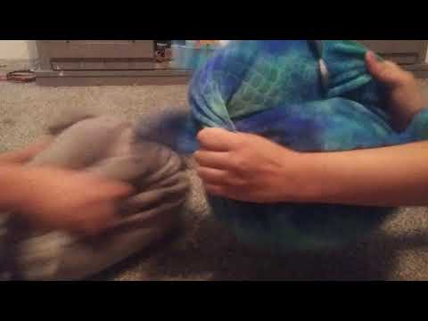 Todaro vs fat dragon