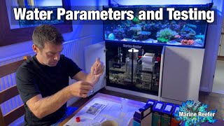 Water Parameters and Testing a Saltwater Aquarium