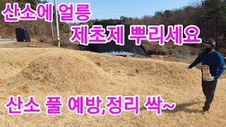 3월전에 산소에 제초제,풀약 주세요