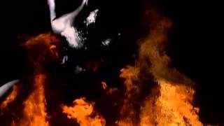 Cebras - Alaska por Serguei LTDA.