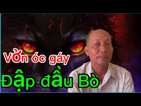 Đập đầu Bò kiếm tiền triệu mỗi ngày và nghiệp báo đến quá rùng rợn