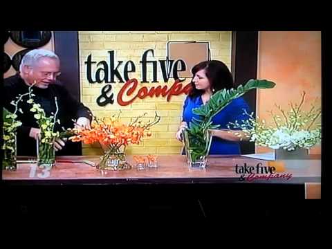 Orquídeas da Tailândia... cortesia de Amy's Orchids com J an