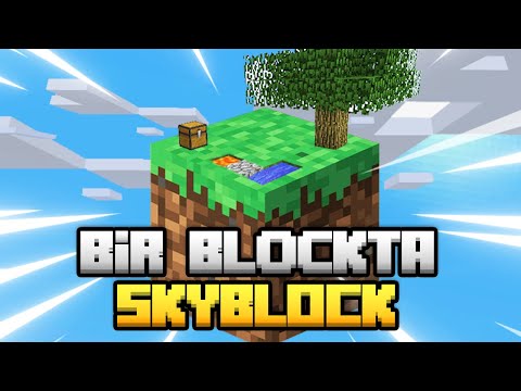 SKYBLOCK IN 1 BLOCK / Skyblock with Unlimited Resources