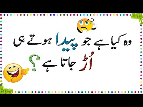 Paheliyan In Urdu With Answer - Amazing Facts About Common Sense - Urdu Riddles # 4