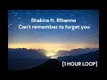 Shakira ft. Rihanna - Can't remember to forget you [1 HOUR LOOP]