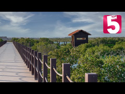 Top 5 Al Khor summer destinations!