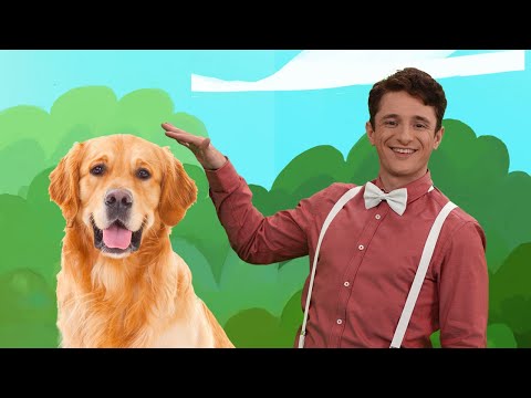 ABC the Letter D | Learning Alphabet with E.Z. PEASY ABC | Teaching English for Toddlers from A to Z