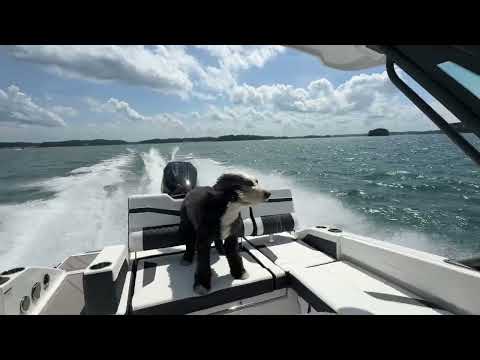 Monterey Boats — On-Water Performance