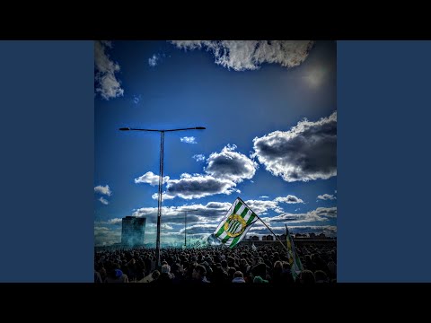 Bajen från Södermalm